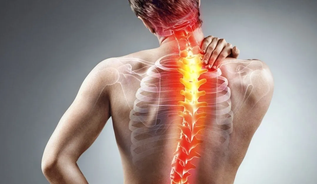 Suggestions For Comfortably Living With Back Ache