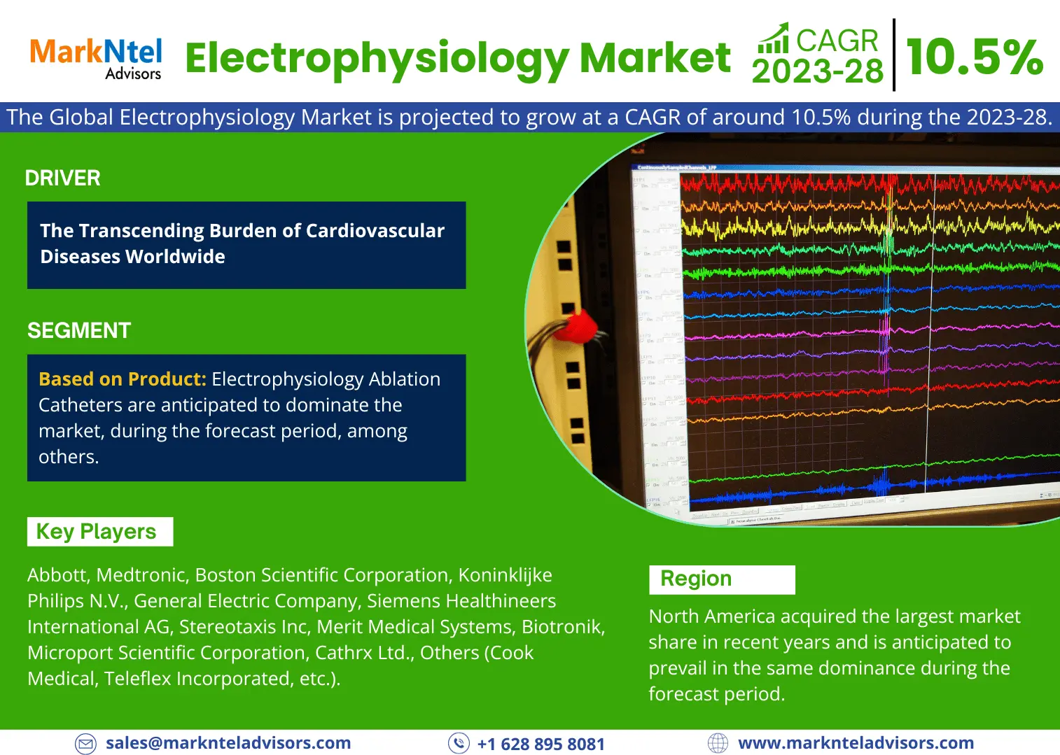Electrophysiology Market 2028 Strategy Unveiled: Top Business Tactics, Growth Factors, and Healthy CAGR Across Industry Segments