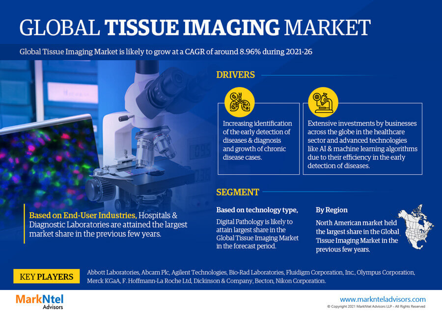 Global Tissue Imaging Market Insights: Showcasing a CAGR of 8.96% – MarkNtel Advisors